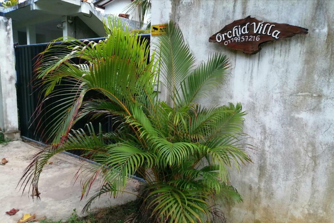Orchid Villa #10 Hikkaduwa Extérieur photo
