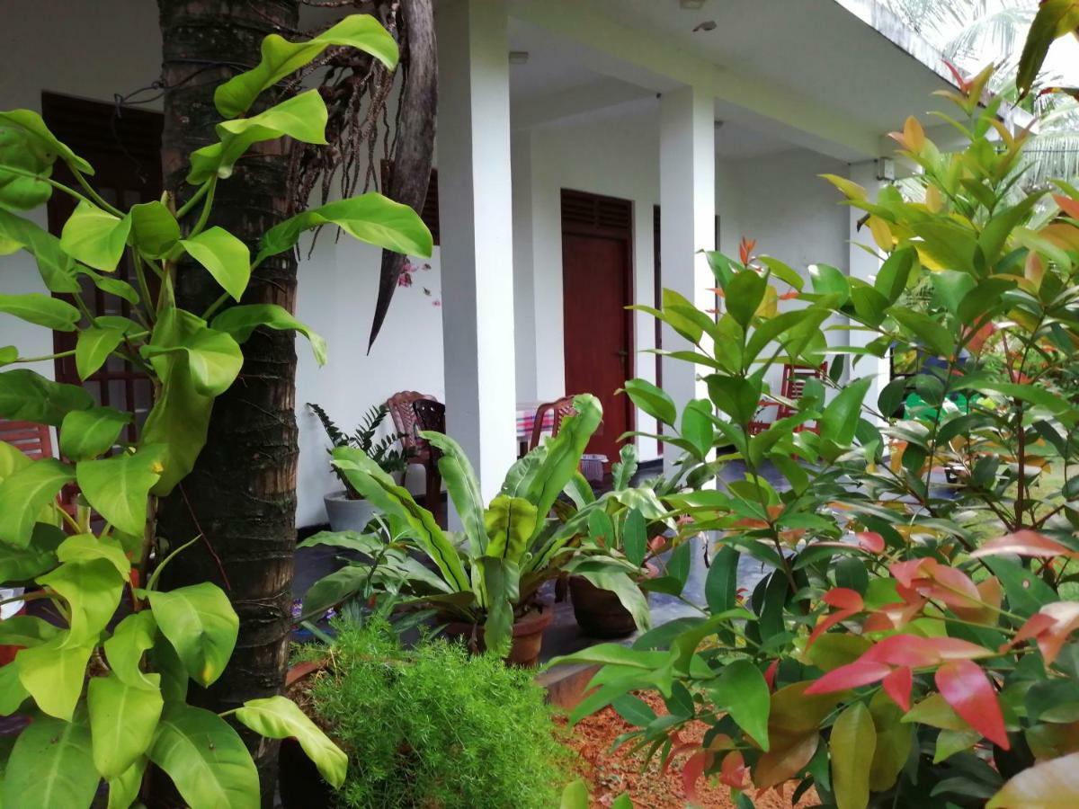Orchid Villa #10 Hikkaduwa Extérieur photo